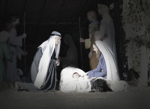 christmas_photo_2012-small